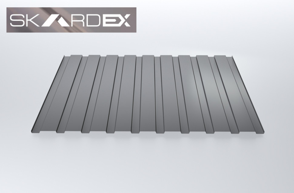 Профнастил C20 SteelX SKARDEX